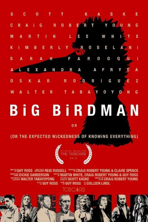 Обложка (Постер) Big Birdman (2015) Обложка (Постер) Big Birdman (2015)