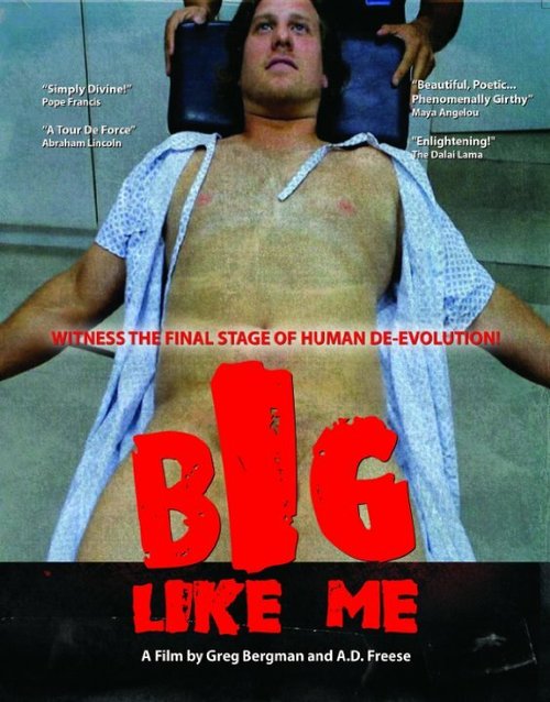 Обложка (Постер) Big Like Me (2014) HDRip Обложка (Постер) Big Like Me (2014) HDRip