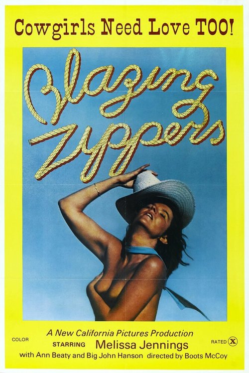Обложка (Постер) Blazing Zippers (1976) SATRip Обложка (Постер) Blazing Zippers (1976) SATRip