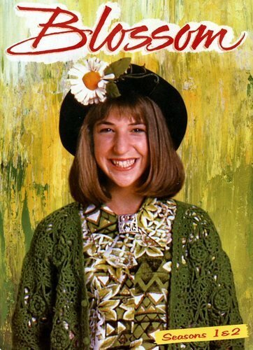 Обложка (Постер) Блоссом / Blossom (1990) HDRip Обложка (Постер) Блоссом / Blossom (1990) HDRip
