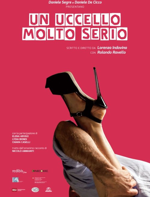 Обложка (Постер) Большие проблемы / Un uccello molto serio (2014) 