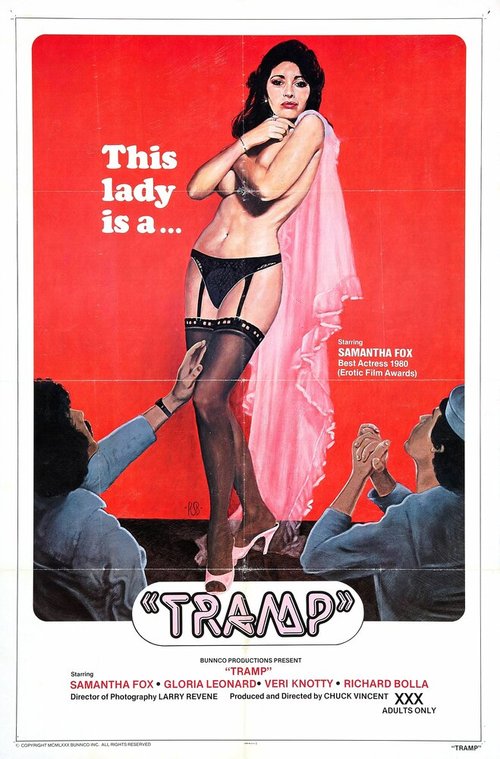 Обложка (Постер) Бродяга / Tramp (1980) SATRip Обложка (Постер) Бродяга / Tramp (1980) SATRip