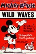 Обложка (Постер) Бурные волны / Wild Waves (1929) 