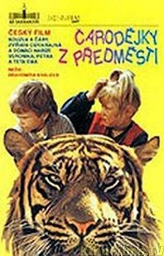 Обложка (Постер) Чародейки из предместья / Carodejky z predmestí (1990) HDRip Обложка (Постер) Чародейки из предместья / Carodejky z predmestí (1990) HDRip