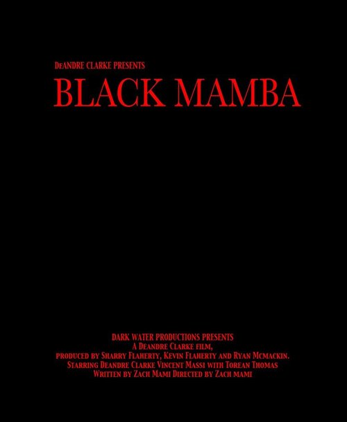 Обложка (Постер) Черная Мамба / The Black Mamba (2011) Обложка (Постер) Черная Мамба / The Black Mamba (2011)