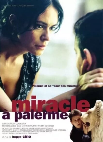 Обложка (Постер) Чудо в Палермо / Miracolo a Palermo! (2005) HDRip Обложка (Постер) Чудо в Палермо / Miracolo a Palermo! (2005) HDRip