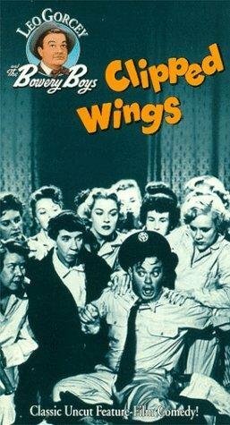 Обложка (Постер) Clipped Wings (1953) SATRip Обложка (Постер) Clipped Wings (1953) SATRip