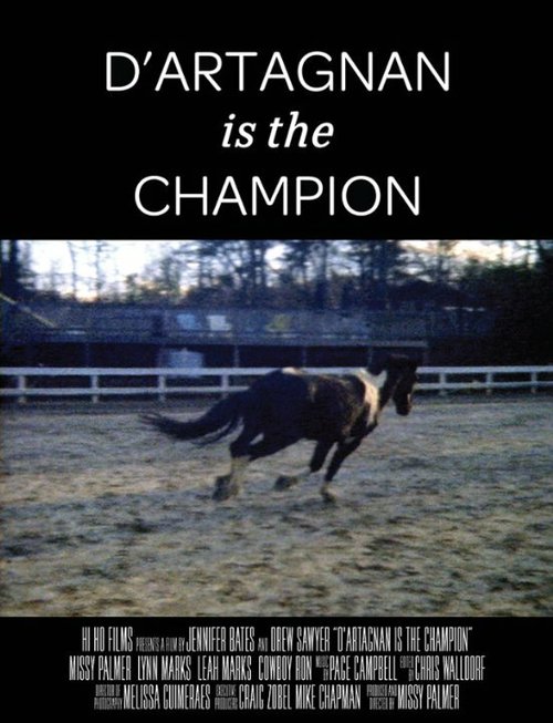 Обложка (Постер) D'artagnan is the Champion (2014) HDRip Обложка (Постер) D'artagnan is the Champion (2014) HDRip