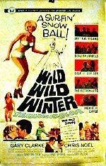 Обложка (Постер) Дикая, дикая зима / Wild Wild Winter (1966) SATRip Обложка (Постер) Дикая, дикая зима / Wild Wild Winter (1966) SATRip