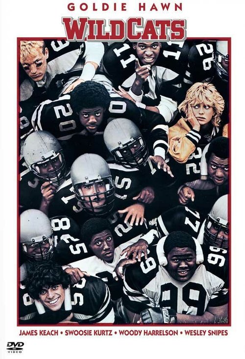 Обложка (Постер) Дикие кошки / Wildcats (1986) SATRip Обложка (Постер) Дикие кошки / Wildcats (1986) SATRip
