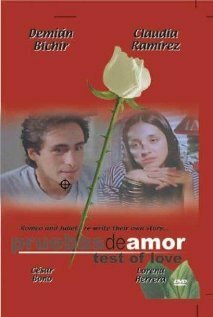 Обложка (Постер) Доказательства любви / Pruebas de amor (1994) HDRip Обложка (Постер) Доказательства любви / Pruebas de amor (1994) HDRip