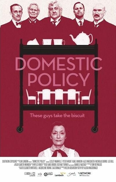 Обложка (Постер) Domestic Policy (2016) Обложка (Постер) Domestic Policy (2016)