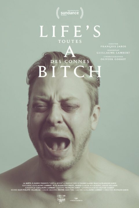 Обложка (Постер) Дуры все / Toutes des connes (2014) Обложка (Постер) Дуры все / Toutes des connes (2014)