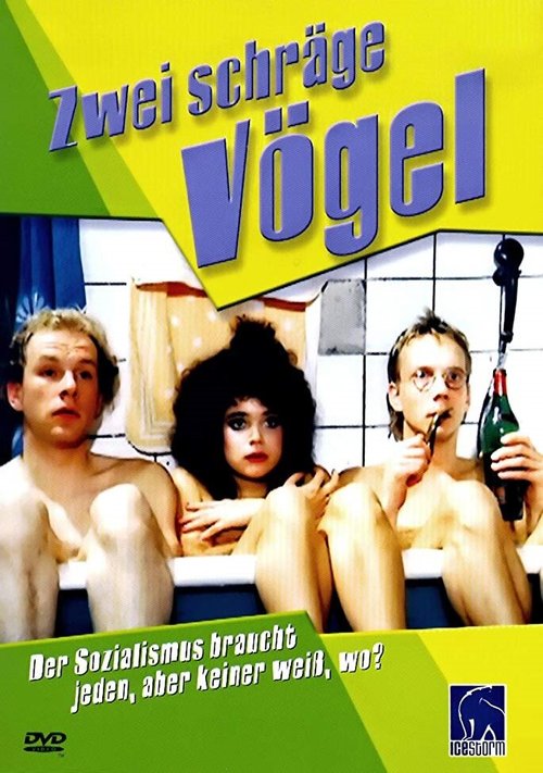 Обложка (Постер) Две неправильных птицы / Zwei schräge Vögel (1989) SATRip