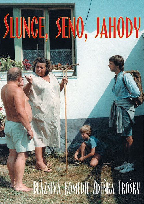 Обложка (Постер) Экспериментатор / Slunce, seno, jahody (1984) SATRip Обложка (Постер) Экспериментатор / Slunce, seno, jahody (1984) SATRip