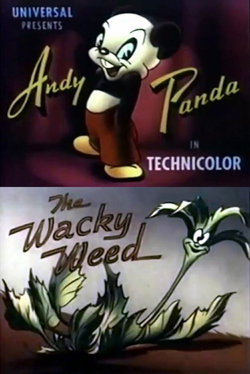 Обложка (Постер) Энди Панда: Нахальный сорняк / The Wacky Weed (1946) Обложка (Постер) Энди Панда: Нахальный сорняк / The Wacky Weed (1946)