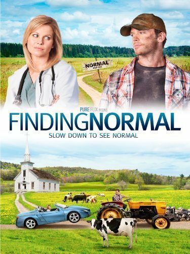 Обложка (Постер) Finding Normal (2013) HDRip