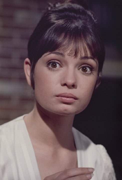 Обложка (Постер) Гиджет взрослеет / Gidget Grows Up (1969) SATRip Обложка (Постер) Гиджет взрослеет / Gidget Grows Up (1969) SATRip