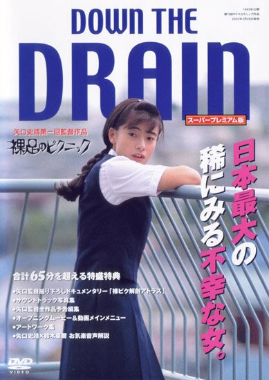 Обложка (Постер) Hadashi no pikunikku (1993) HDRip Обложка (Постер) Hadashi no pikunikku (1993) HDRip