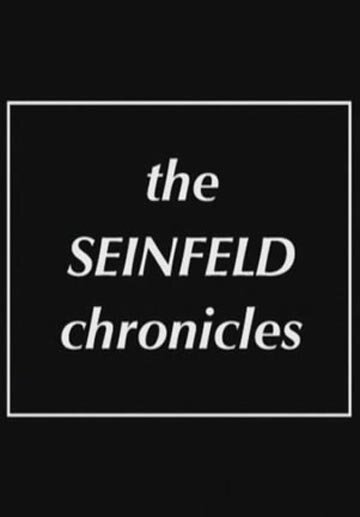 Обложка (Постер) Хроники Сейнфелда / The Seinfeld Chronicles - Pilot (1989) SATRip Обложка (Постер) Хроники Сейнфелда / The Seinfeld Chronicles - Pilot (1989) SATRip