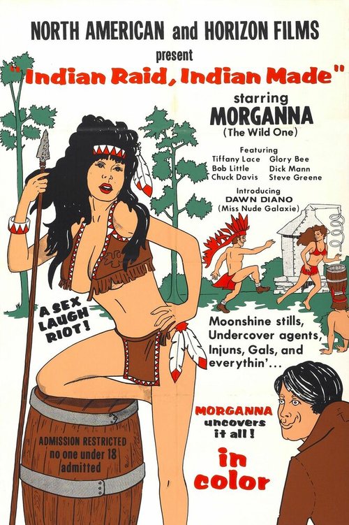 Обложка (Постер) Indian Raid, Indian Made (1969) SATRip