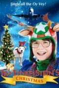 Обложка (Постер) Ira Finkelstein's Christmas (2012) HDRip Обложка (Постер) Ira Finkelstein's Christmas (2012) HDRip