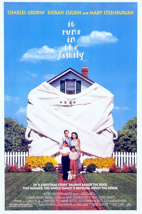 Обложка (Постер) История моего лета / It Runs in the Family (1994) HDRip Обложка (Постер) История моего лета / It Runs in the Family (1994) HDRip