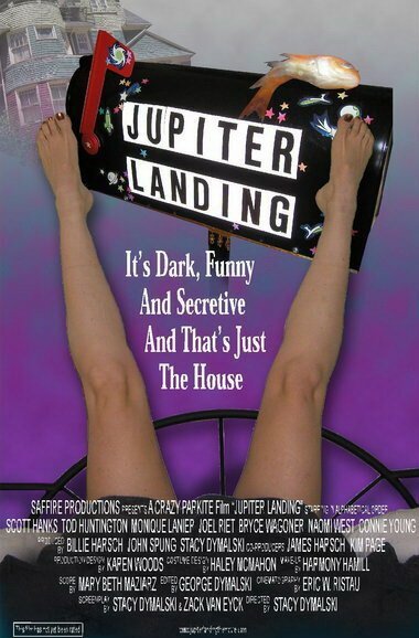 Обложка (Постер) Jupiter Landing (2005) HDRip