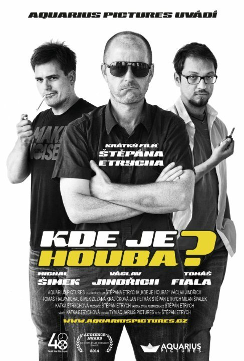 Обложка (Постер) Kde je Houba? (2014) Обложка (Постер) Kde je Houba? (2014)