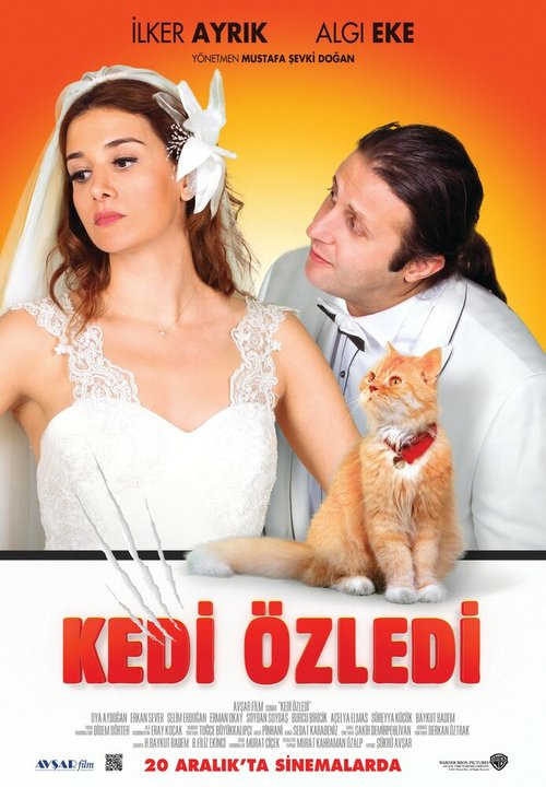 Обложка (Постер) Кошки были пропущены / Kedi Özledi (2013) Обложка (Постер) Кошки были пропущены / Kedi Özledi (2013)