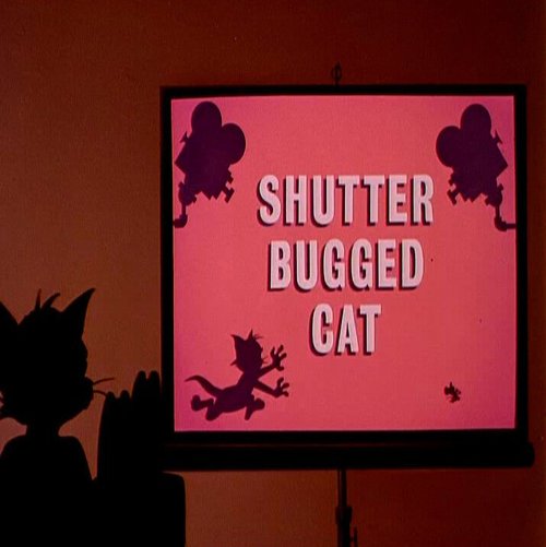 Обложка (Постер) Кот скрытой камерой / Shutter Bugged Cat (1967) Обложка (Постер) Кот скрытой камерой / Shutter Bugged Cat (1967)