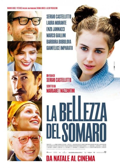 Обложка (Постер) Красота осла / La bellezza del somaro (2010) HDRip