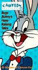 Обложка (Постер) Кроликзон Крузо / Rabbitson Crusoe (1956) 