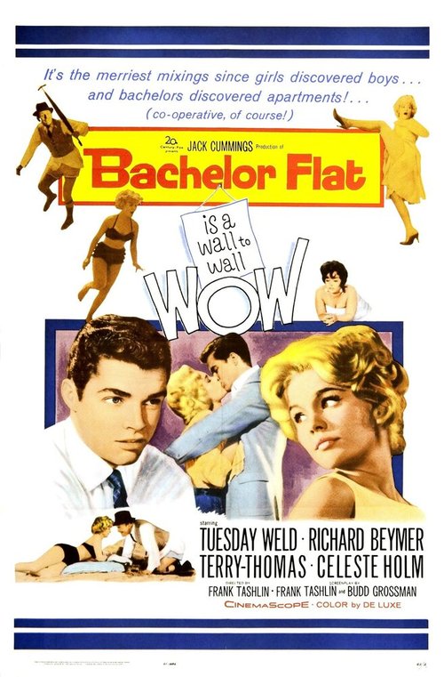 Обложка (Постер) Квартира холостяка / Bachelor Flat (1961) SATRip Обложка (Постер) Квартира холостяка / Bachelor Flat (1961) SATRip