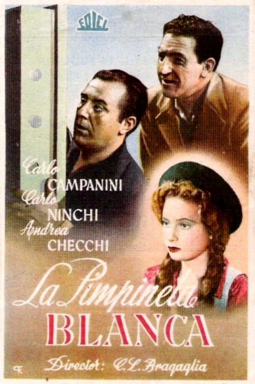 Обложка (Постер) La primula bianca (1947) SATRip Обложка (Постер) La primula bianca (1947) SATRip