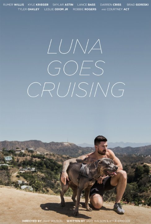Обложка (Постер) Luna Goes Cruising (2015) Обложка (Постер) Luna Goes Cruising (2015)