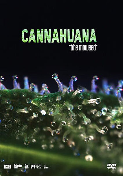 Обложка (Постер) Марихуана / Cannabis (2006) Обложка (Постер) Марихуана / Cannabis (2006)