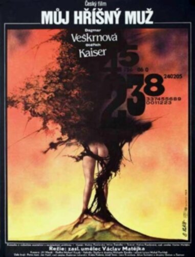 Обложка (Постер) Мой грешный муж / Muj hrísny muz (1988) SATRip Обложка (Постер) Мой грешный муж / Muj hrísny muz (1988) SATRip