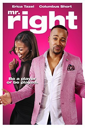 Обложка (Постер) Mr. Right (2015) HDRip
