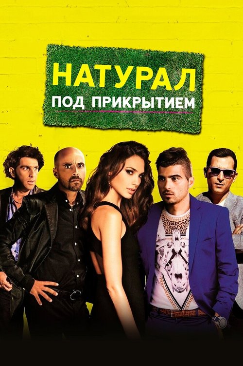 Обложка (Постер) Натурал под прикрытием / Kicking Out Shoshana (2014) HDRip Обложка (Постер) Натурал под прикрытием / Kicking Out Shoshana (2014) HDRip