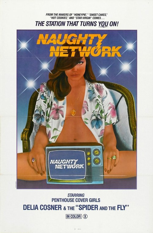 Обложка (Постер) Naughty Network (1981) SATRip Обложка (Постер) Naughty Network (1981) SATRip