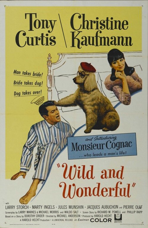 Обложка (Постер) Неукротимый и прекрасный / Wild and Wonderful (1964) SATRip Обложка (Постер) Неукротимый и прекрасный / Wild and Wonderful (1964) SATRip