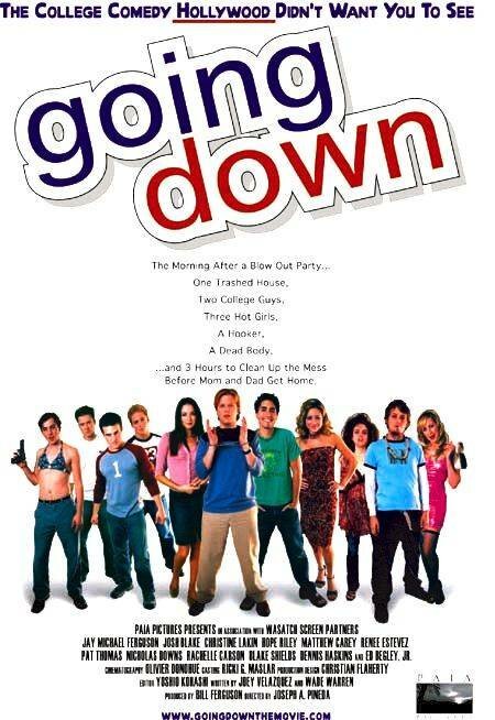 Обложка (Постер) Ни фига себе вечеринка! / Going Down (2003) HDRip