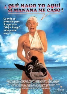 Обложка (Постер) Особенности холостяцкой вечеринки / Staggered (1994) HDRip