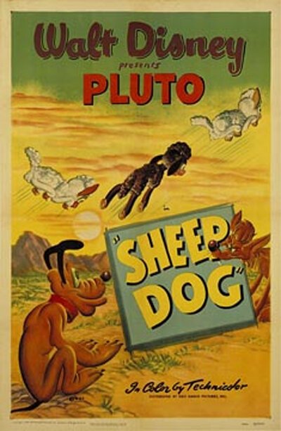 Обложка (Постер) Овчарка / Sheep Dog (1949) 