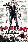 Обложка (Постер) Падший ангел / Znedatsemuli angelozi (1993) HDRip