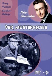 Обложка (Постер) Пай-мальчик / Der Musterknabe (1963) SATRip Обложка (Постер) Пай-мальчик / Der Musterknabe (1963) SATRip