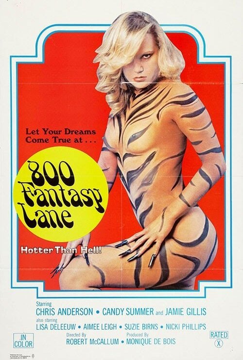 Обложка (Постер) Переулок фантазий, 800 / 800 Fantasy Lane (1979) SATRip Обложка (Постер) Переулок фантазий, 800 / 800 Fantasy Lane (1979) SATRip