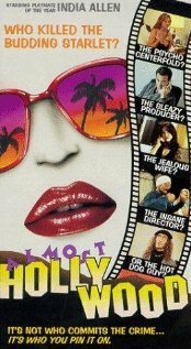 Обложка (Постер) Почти Голливуд / Almost Hollywood (1994) HDRip