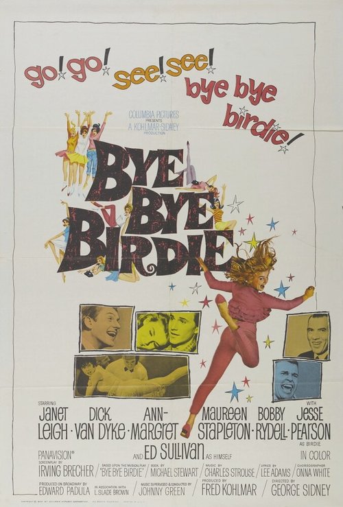 Обложка (Постер) Пока, пташка / Bye Bye Birdie (1963) SATRip